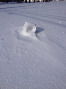 12119_10203485218474520_1110078937_n